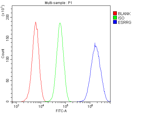 a01470 1 esrrg primary antibodies fc testing 6