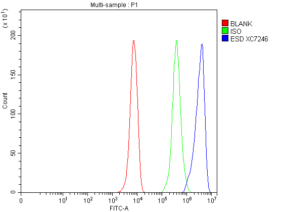 Flow Cytometry analysis of HepG2 cells using anti-ESD antibody (A01471-1)