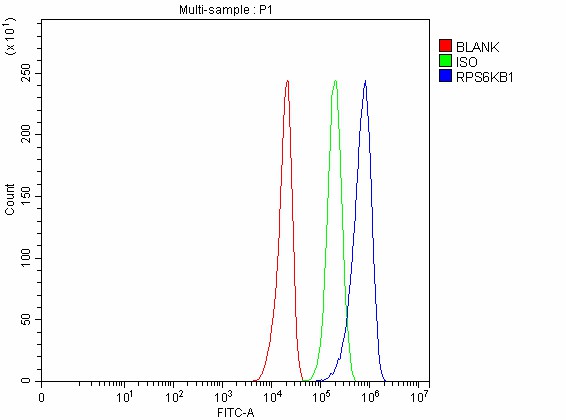 a01475 3 rps6kb1 primary antibodies fcm testing 2