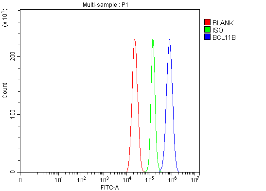 a01485 2 bcl11b primary antibodies fcm testing 11