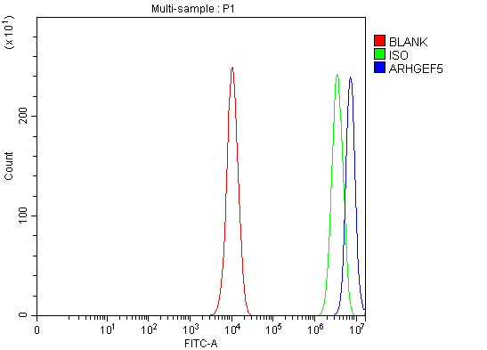  Flow Cytometry analysis of PC-3 cells using anti-ARHGEF5 antibody (A01487-2)