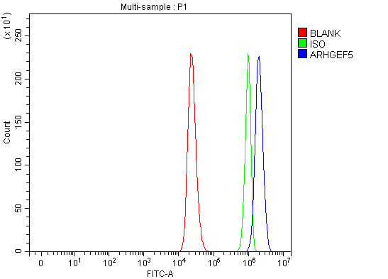 a01487 2 arhgef5 primary antibodies fcm testing 4
