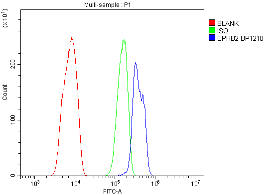 a01507 1 ephb2 primary antibodies fc testing 5