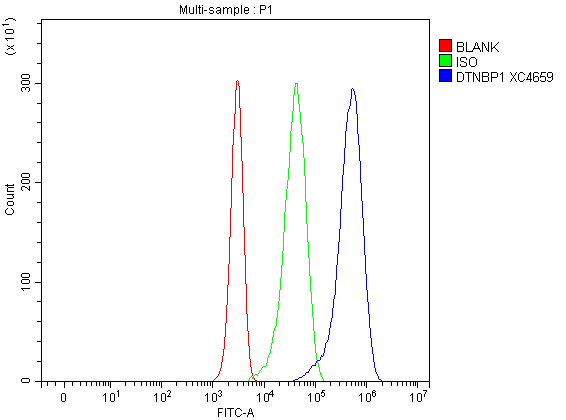  Flow Cytometry analysis of Jurkat cells using anti-Dysbindin/DTNBP1 antibody (A01509-1)