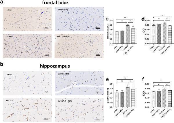a01513 3 41598_2023_48897_fig4_html