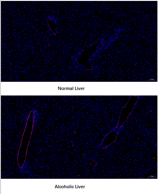 a01513 3 yongqiu_zhen
