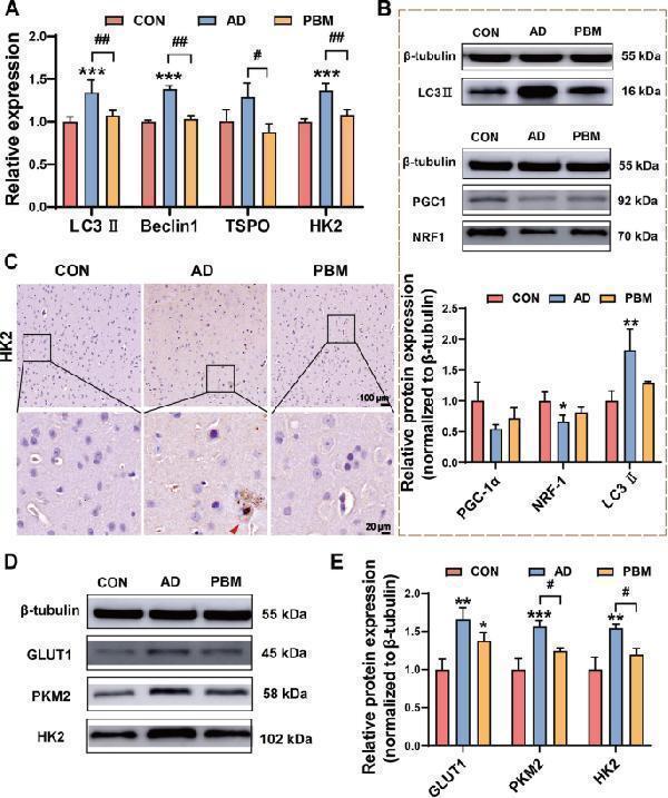 a01524 2 13195_2025_1714_fig7_html