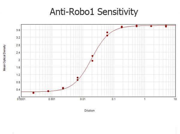 ELISA results of purified Rabbit anti-Robo-1 Antibody tested against BSA-conjugated peptide of immunizing peptide