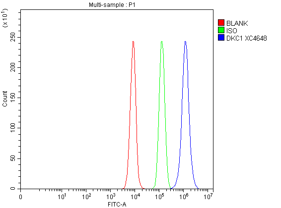 a01535 2 dkc1 primary antibodies fcm testing 6
