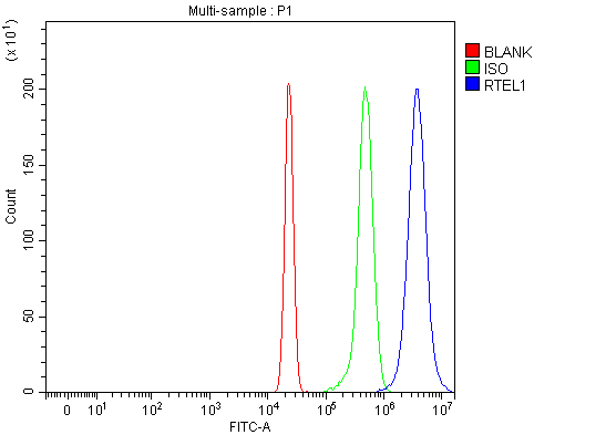  Flow Cytometry analysis of HepG2 cells using anti-RTEL1 antibody (A01544-2)