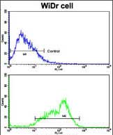 a01552 3 anti bcl2l11 antibody center fc testing 4