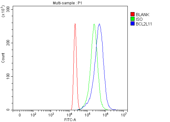 a01552 4 bcl2l11 primary antibodies fcm testing 5