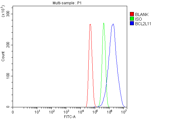 a01552 5 bcl2l11 primary antibodies fcm testing 2