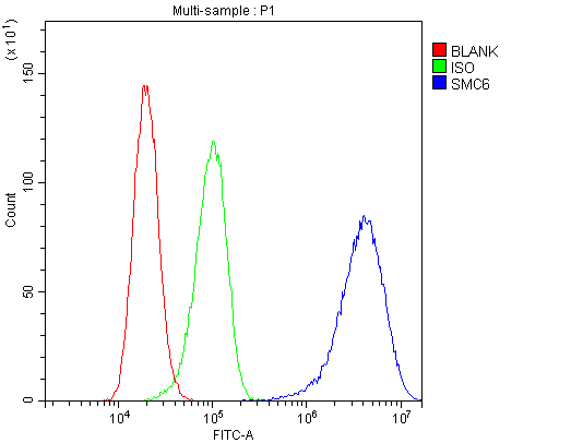a01554 1 smc6l1 primary antibodies fc testing 5