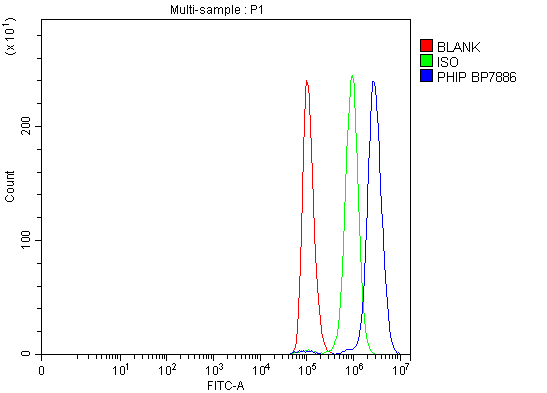 a01555 1 phip primary antibodies fcm testing 1