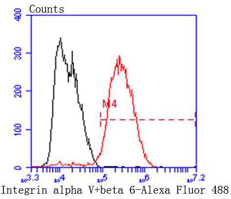 a01561 1 itgav primary antiboties fcm testing 2