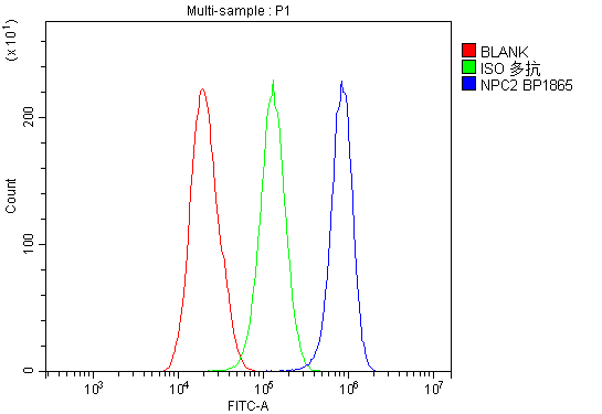 a01582 3 npc2 primary antibodies fc testing 4
