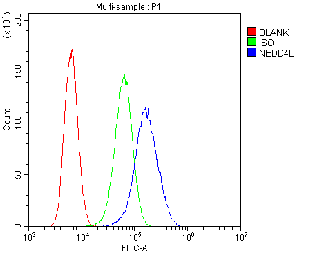 a01595 1 nedd4 2 primary antibodies fc testing 2