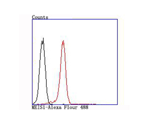 &nbsp;Flow cytometric analysis of K562 cells with MEIS1 antibody at 1/100 dilution (red) compared with an unlabelled control (cells without incubation with primary antibody; black)