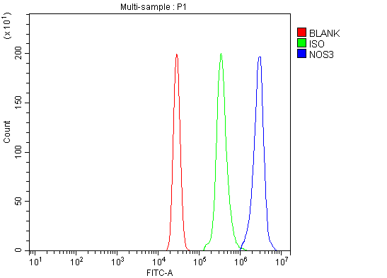 a01604 3 nos3 primary antibodies fcm testing 3