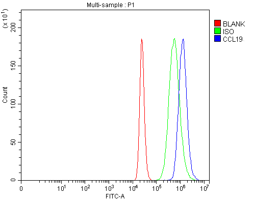  Flow Cytometry analysis of THP-1 cells using anti-MIP-3 Beta/CCL19 antibody (A01605-2)
