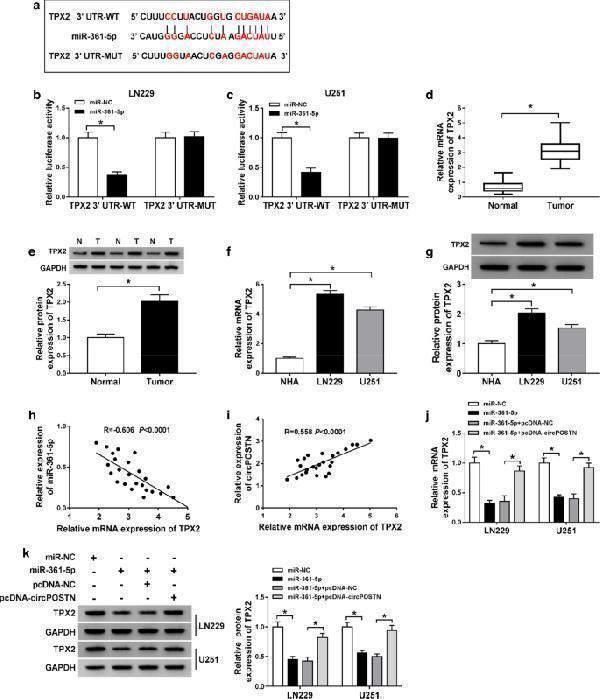 a01610 1 12935_2020_1454_fig6_html
