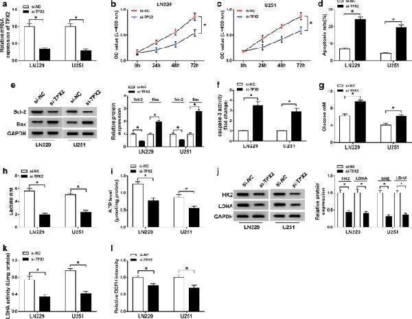 a01610 1 12935_2020_1454_fig7_html