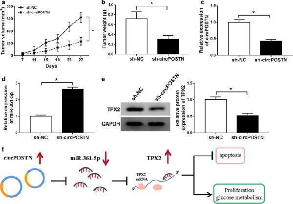 a01610 1 12935_2020_1454_fig9_html