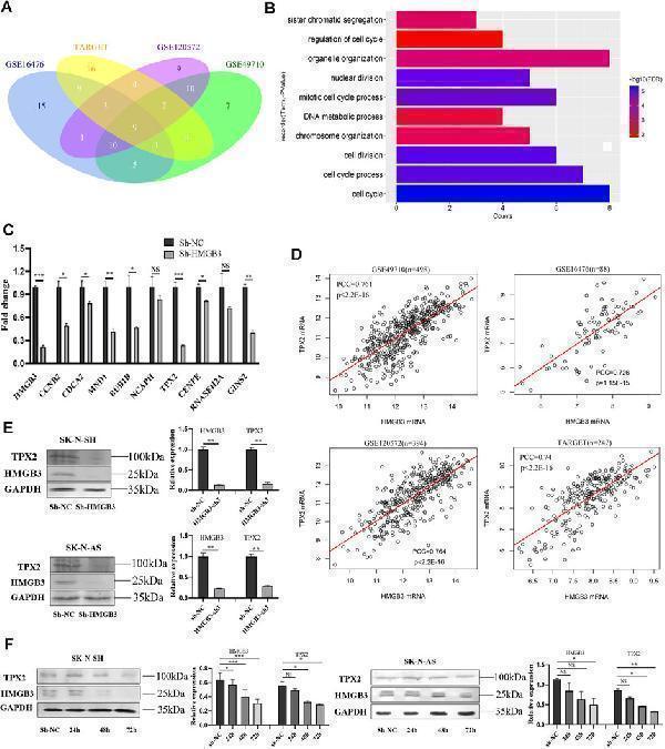 a01610 1 fcell 09 769547 g004