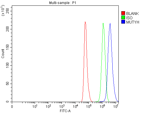  Flow Cytometry analysis of Hela cells using anti-MUTYH antibody (A01618-2)