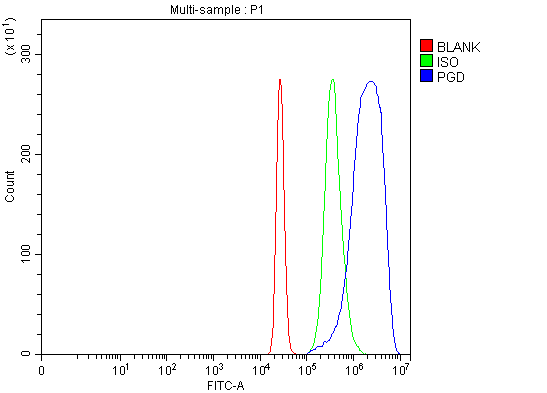  Flow Cytometry analysis of HepG2 cells using anti-PGD antibody (A01623-3)