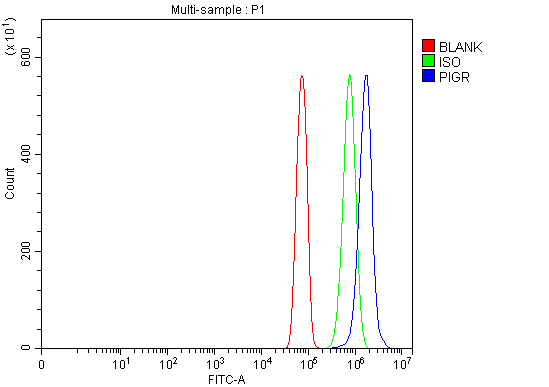 a01624 pigr primary antibodies fcm testing 2
