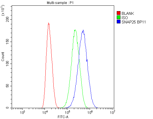 Flow Cytometry analysis of U87 cells using anti-SNAP25 antibody (A01625). Overlay histogram showing U87 cells stained with A01625 (Blue line).The cells were blocked with 10% normal goat serum. And then incubated with rabbit anti-SNAP25 Antibody (A01625,1μg/1x106 cells) for 30 min at 20°C. DyLight®488 conjugated goat anti-rabbit IgG (BA1127, 5-10μg/1x106 cells) was used as secondary antibody for 30 minutes at 20°C. Isotype control antibody (Green line) was rabbit IgG (1μg/1x106) used under the same conditions. Unlabelled sample (Red line) was also used as a control.