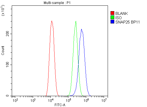a01625 snap25 primary antibodies fc testing 8