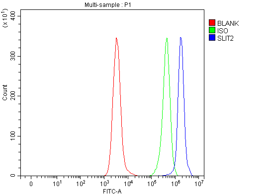  Flow Cytometry analysis of Daudi cells using anti-SLIT2 antibody (A01627-1)