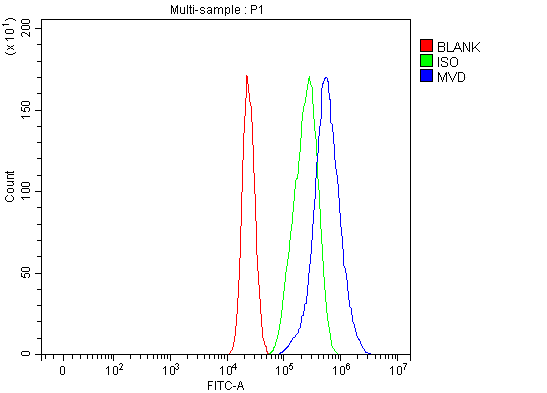 a01631 2 mvd primary antibodies fcm testing 3