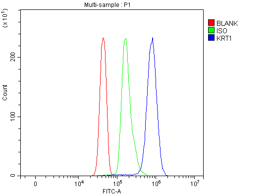 a01639 krt1 primary antibodies fcm testing 4