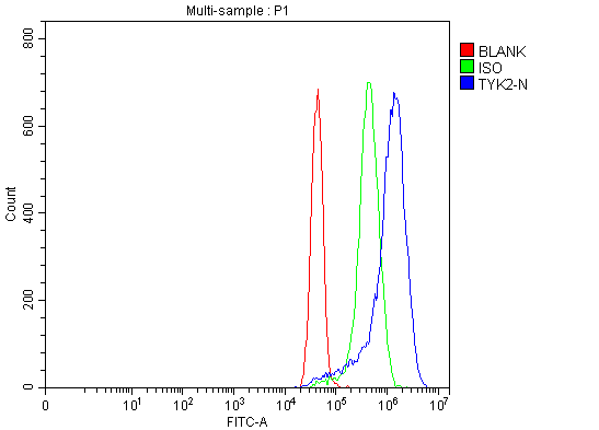  Flow Cytometry analysis of MCF-7 cells using anti-TYK2 antibody (A01642-3)