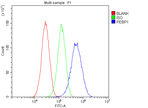 a01668 pbp primary antibodies fc testing 11