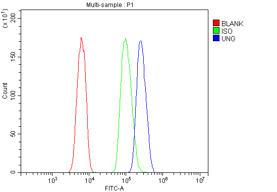 a01672 2 ung primary antibodies fcm testing 5