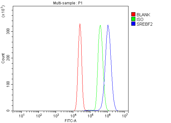 a01678 2 srebf2 primary antibodies fcm testing 3