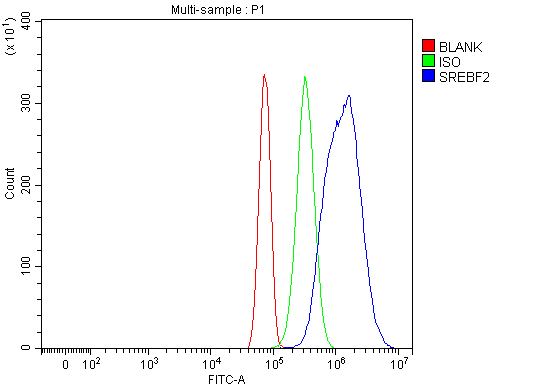 a01678 2 srebf2 primary antibodies fcm testing 4