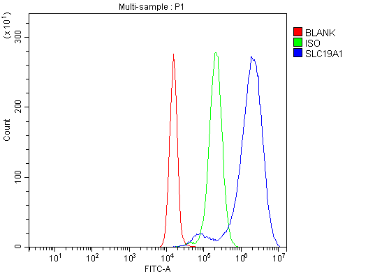  Flow Cytometry analysis of JK cells using anti-RFC/SLC19A1 antibody (A01679-1)