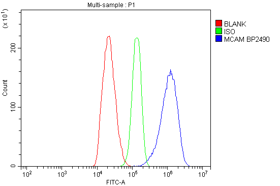 a01683 mcam primary antibodies fc testing 6