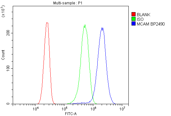 a01683 mcam primary antibodies fc testing 7