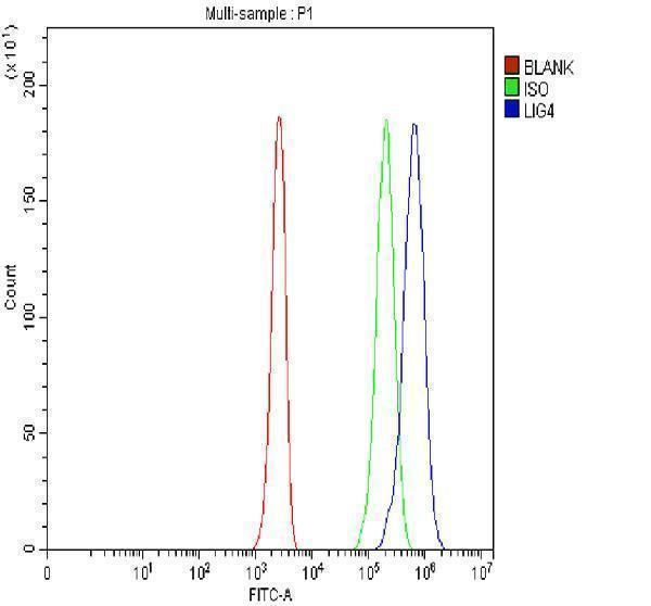  Flow Cytometry analysis of Jurkat cells using anti-LIG4 antibody (A01685-3)