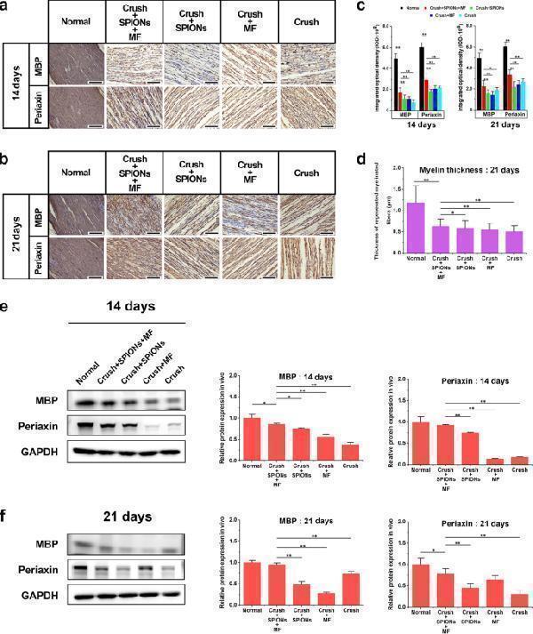 a01686 12951_2022_1337_fig12_html