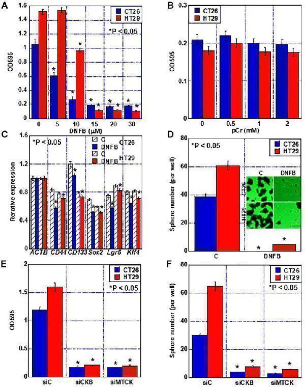 a01695 1 oncotarget 14 28436 g003