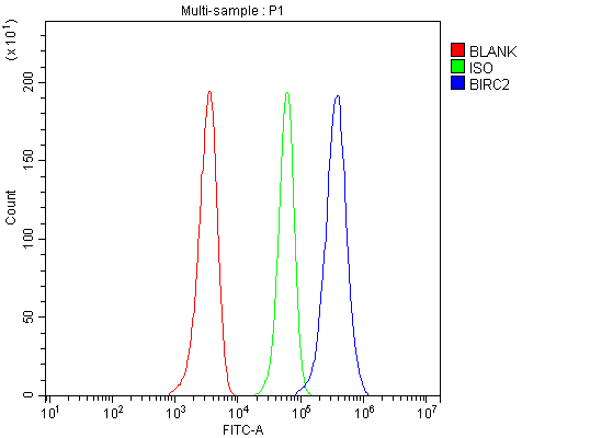 a01700 1 birc2 primary antibodies fcm testing 1