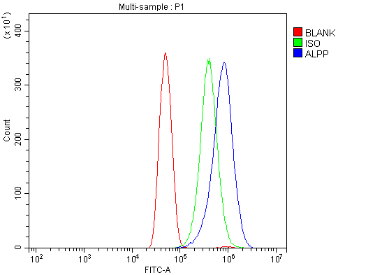 a01718 alpp primary antibodies fcm testing 5
